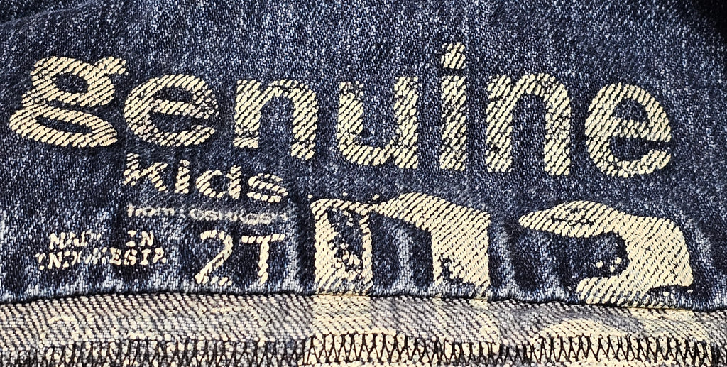 2T Upcycled Denim Jacket Dinosaurs